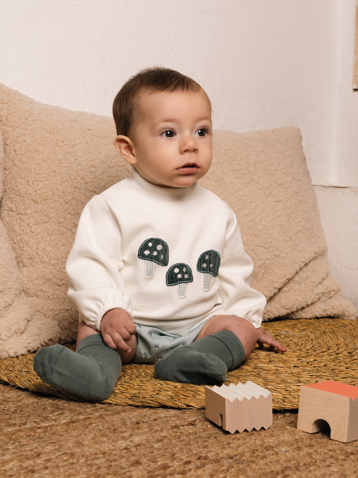 Conjunto Mushroom